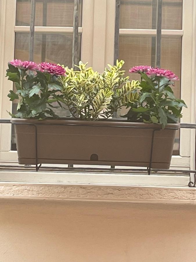 Cuor Di Mantova B&B Extérieur photo